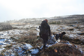 Vålådalens naturreservat