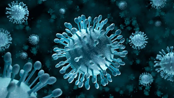 Virus – Sejarah, Ciri, Replikasi, Ragam, dan Peranan
