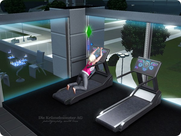 SiMS3IntoTheFutureEP (9)