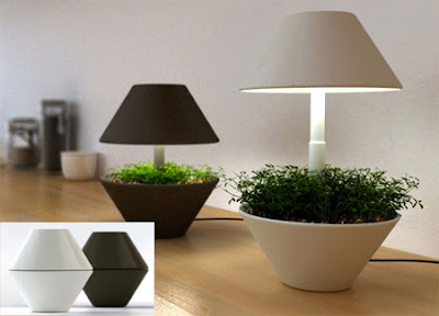 beautiful Plants Light pot