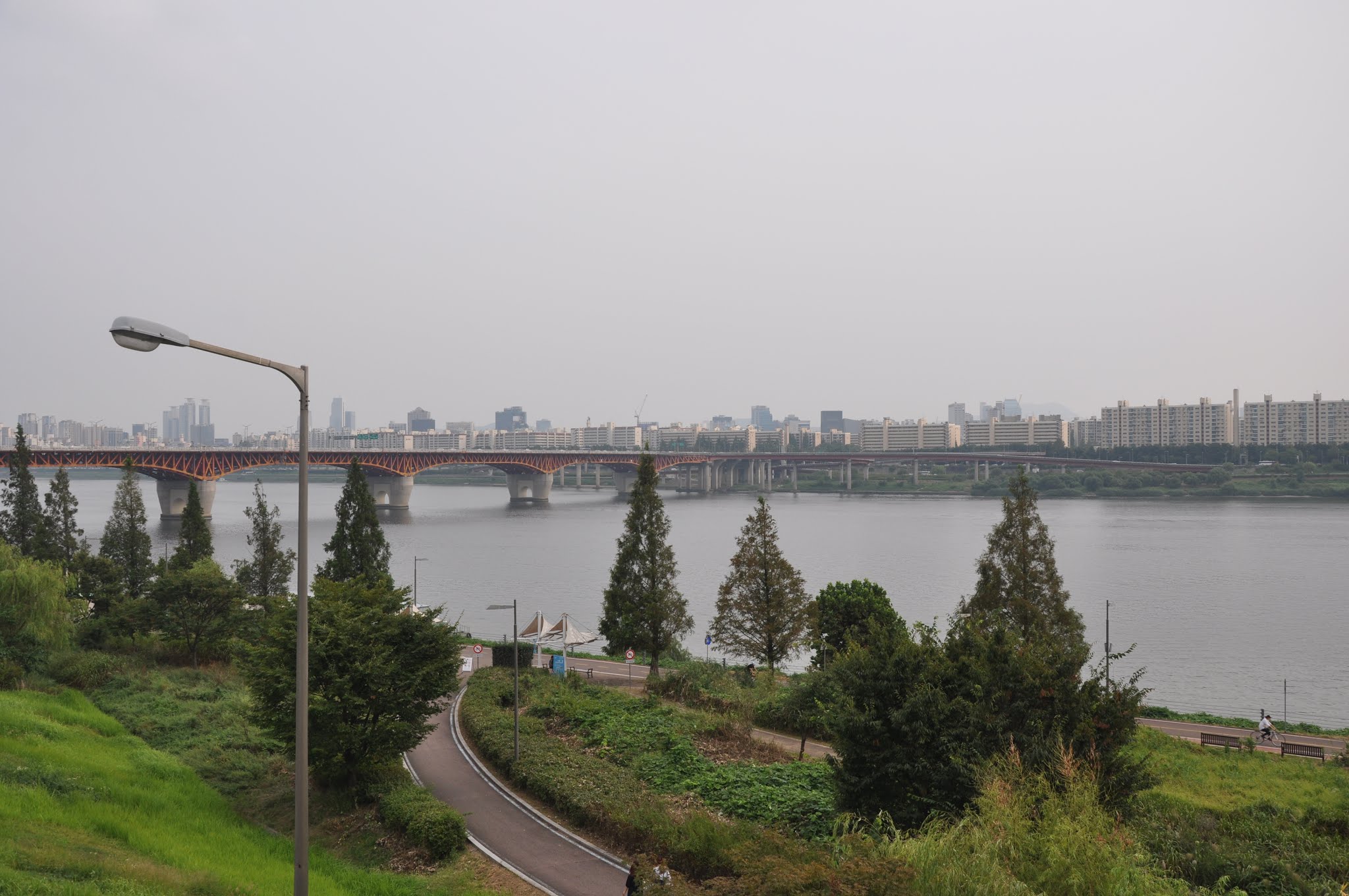 Seoul Forest (서울숲)