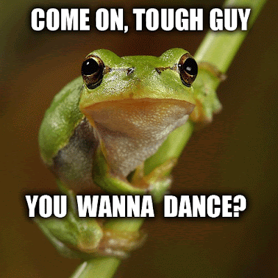Funny Animals: Funny Frog Photos