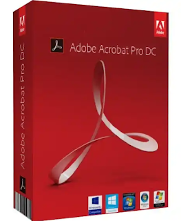 Adobe Acrobat Pro DC 2022.003.20282 (x64)