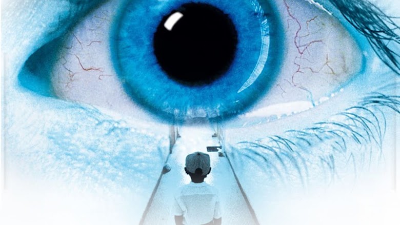 The Eye 2002 descargar online
