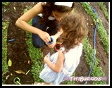 IMG00022-20100327-1427