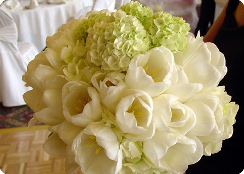 white Tulip bouquet green hydrangea