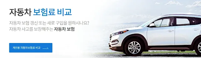 자동차보험료 비교 사이트에서 개인용 자동차보험료 간편 조회