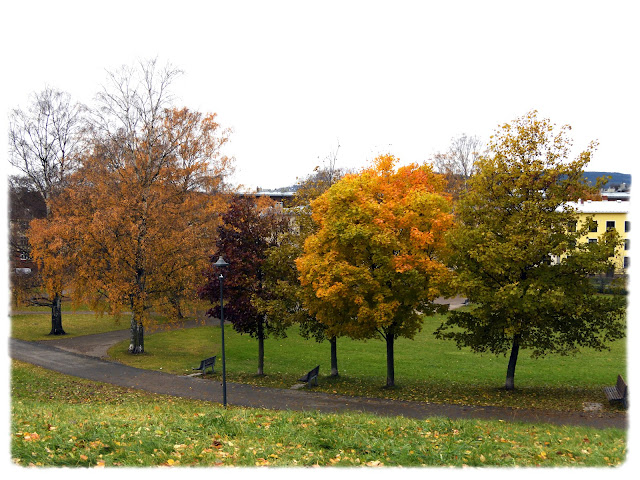 Friområdet Torshovdalen i Oslo.