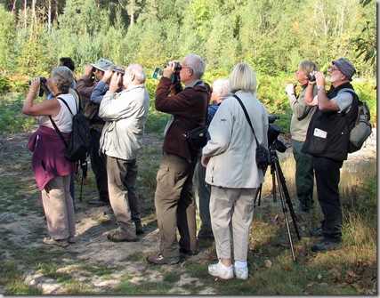 20090926 BHW Brede High Wood 006