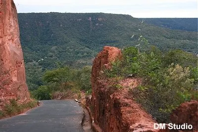 Resultado de imagem para SERRA DO ARARIPE  EO GADO