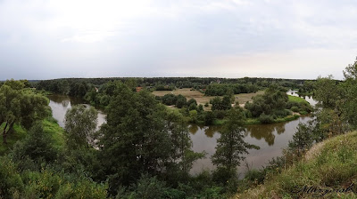 Meander Warty Konopnica 