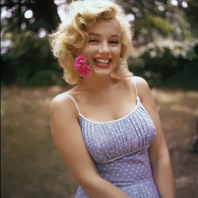http://www.mediafire.com/view/q1979tw4w1ys0ej/The_Secret_Life_of_Marilyn_Monroe.pdf