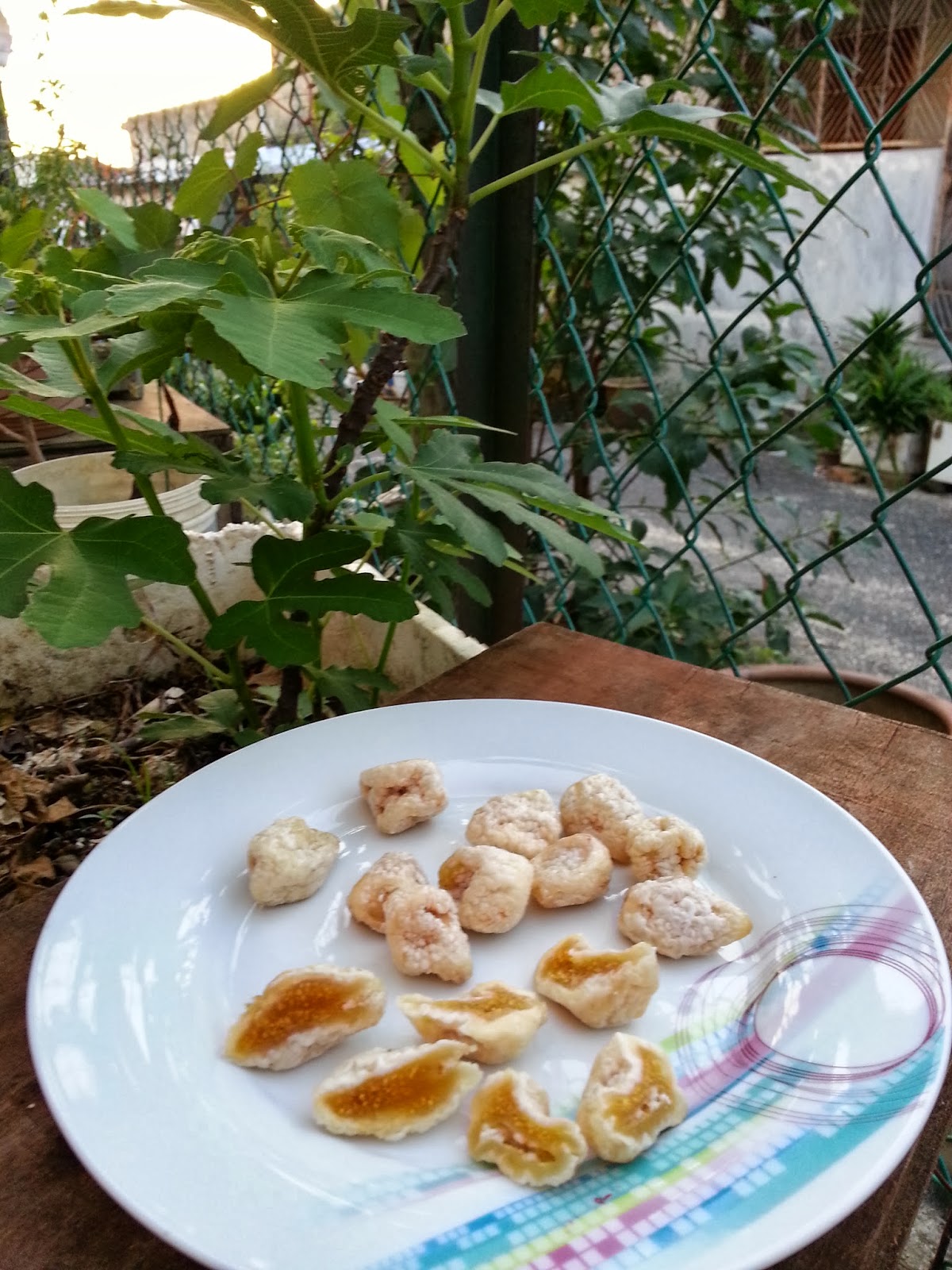 TaMAn TEmPErATe cara  membuat  home made dried frozen  fig