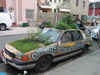Community garden car on Kensington