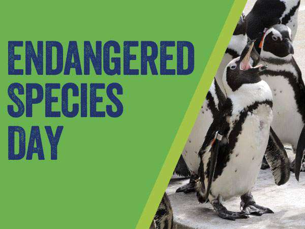 National Endangered Species Day Wishes Images