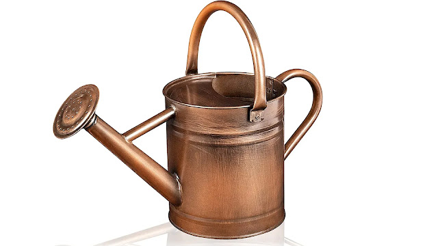 Meatal watering can