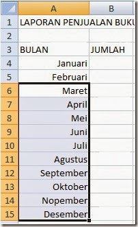 Membuat_Laporan_Penjualan_Buku_Pendidikan_5