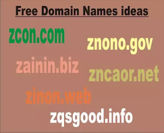 Domain Names Z | How to Get Free Domain Name
