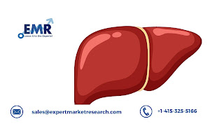 Non-Alcoholic Steatohepatitis (NASH) Treatment Market