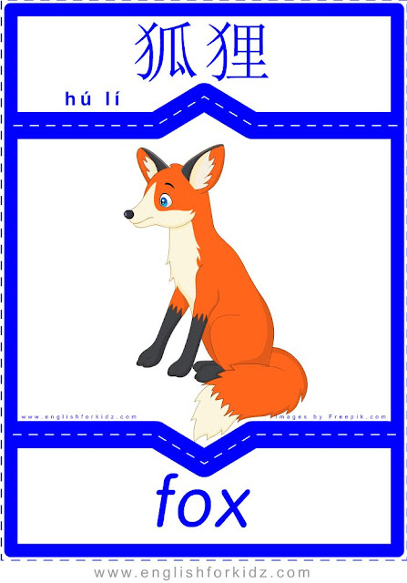 Fox - English-Chinese flashcards for wild animals topic