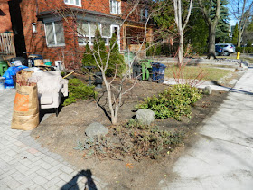 Bloor West Village Toronto Front Yard Spring Cleanup Before by Paul Jung Gardening Services--a Toronto Gardening Company