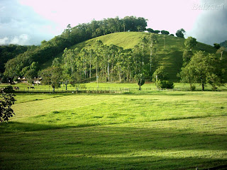 Paisagem campo