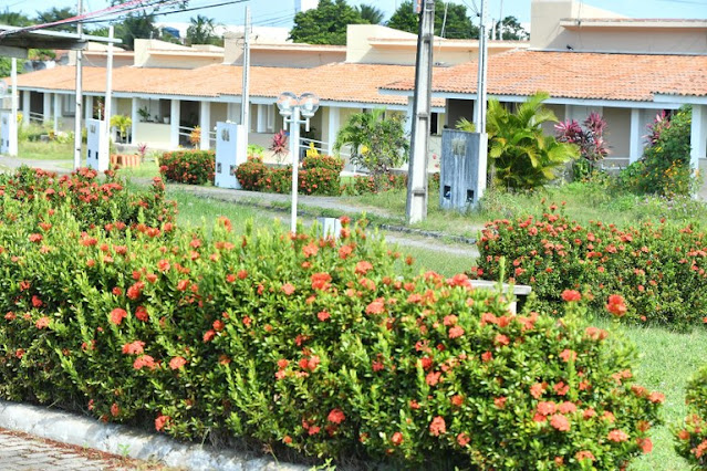 presidente do conselho do Amapá, Palmira Bittencourt,