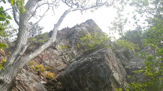 三辻山、岩登りコース ～ 工石山 | Trekking from Kochi