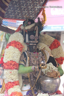 Vennai Thazhi Kannan, Day 08,Brahmotsavam, Thiruvallikeni, Sri PArthasarathy Perumal, Temple, 2017, Video, Divya Prabhandam,Utsavam,