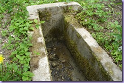 mini_DSC08245