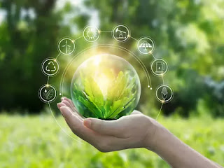 La sostenibilidad y concienciación con el medio ambiente en las empresas