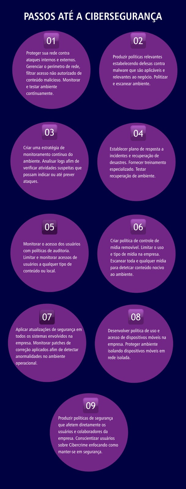 infografico-passos-ciberseguros