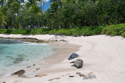 Lanikuhonua Beach