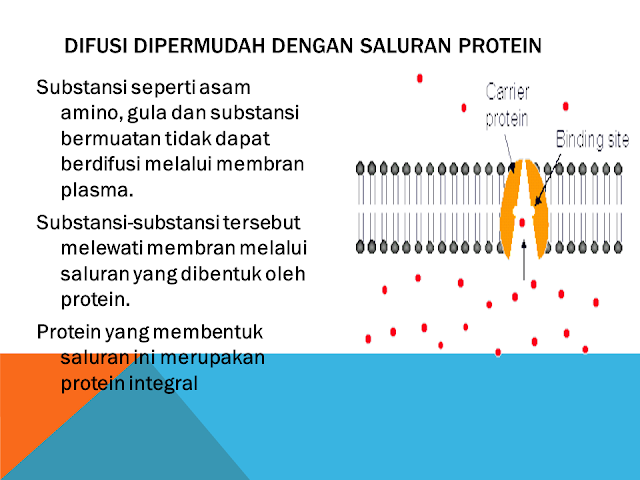 Pengertian Difusi