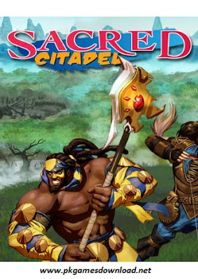 Sacred Citadel PC Game