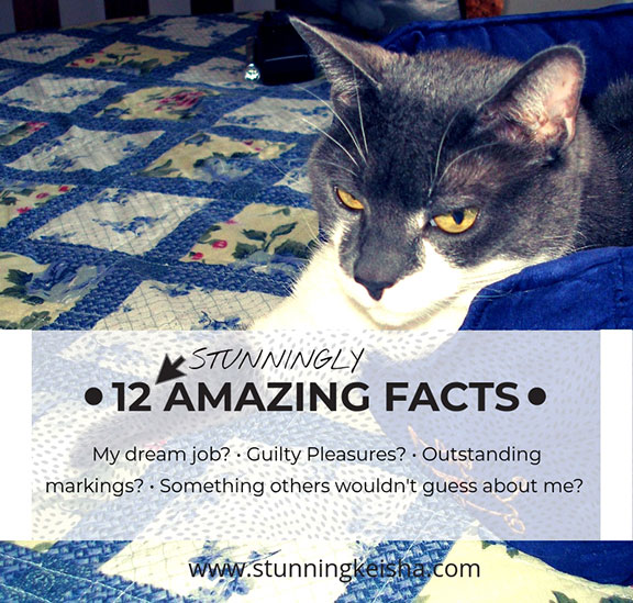 12 Stunningly Amazing Facts About Me!