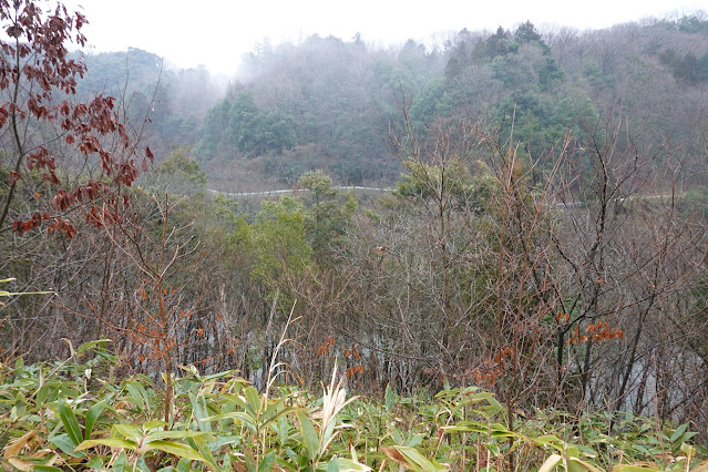 鳥取県西伯郡南部町下中谷 緑水湖 展望台からの眺望