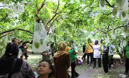 Daftar Tempat Wisata di Blitar Paling indah dan Menarik