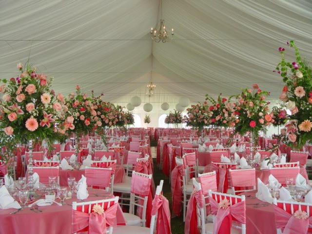 chicago tented wedding blog type of chairs for weddings