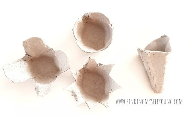 different flowers cut out of egg carton pieces