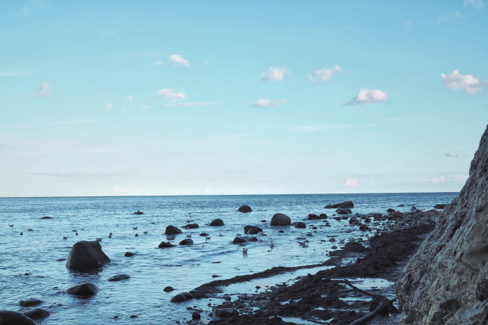 Promenade le long des falaises de l'île de Møn au Danemark