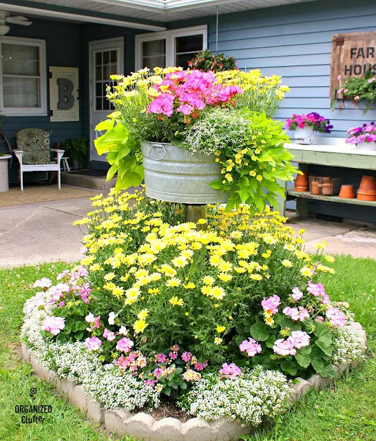 Photo of the same small annual garden over the years.