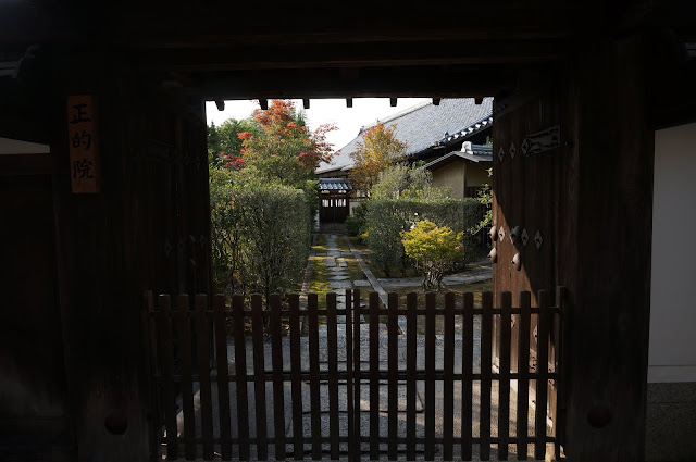 Moss-covered pathways and manicured flora in Honen-in as viewed from outside the temple doors