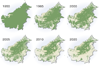 Erlebnisreise Malaysia: Abholzung des Regenwalds in Borneo