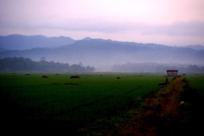 Foto Landscape Banyumas