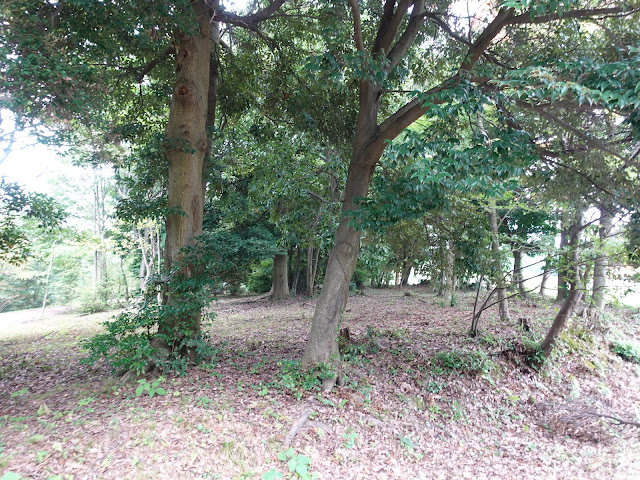 むきばんだ史跡公園の弥生の森