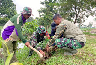 Bersama Karang Taruna Satgas Citarum Harum Sektor 6 Di pimpin Serka Andir Hijaukan Kawasan Oxbow Bojongsari Melalui Penanaman Pohon Tarum