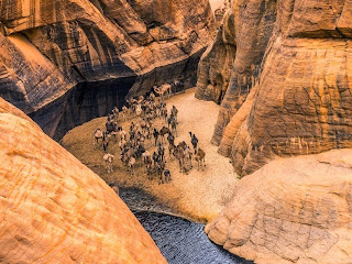 Guelta d' Archei, Oase Ajaib Di Gurun Sahara