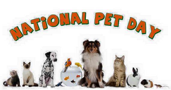 National Pet Day Wishes Pics