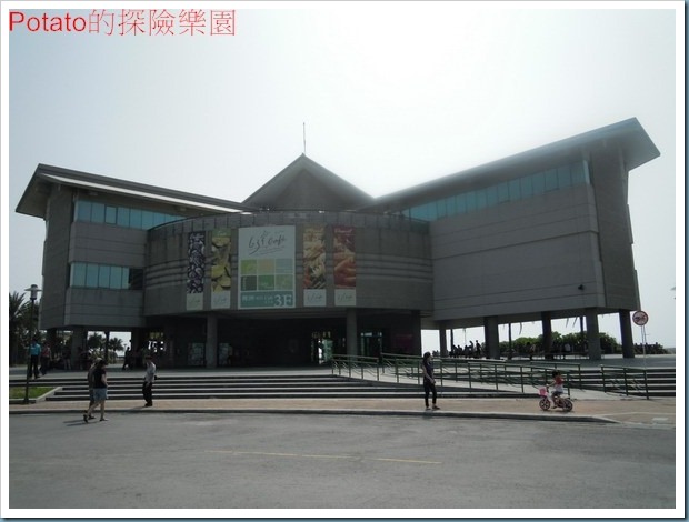 DSCN3655